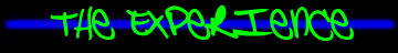 experience.gif (4457 bytes)
